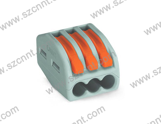 ACTB-LGT-R222-02-03