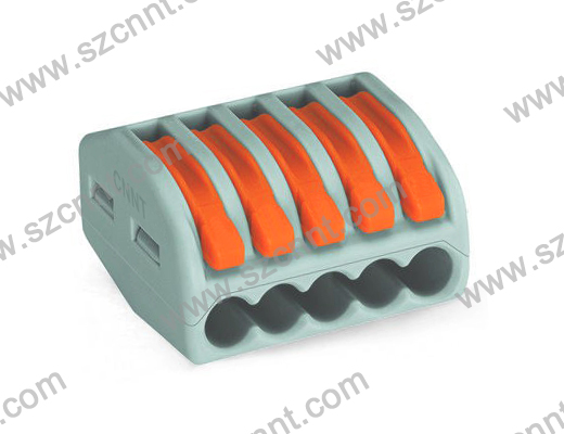 ACTB-LGT-R222-02-05